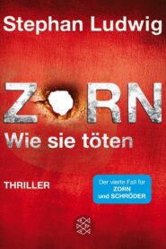 Zorn – Wie sie töten – 2016 – Online In Netflix