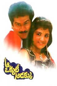 ఆ ఒక్కటీ అడక్కు – 1992 – Online In Netflix