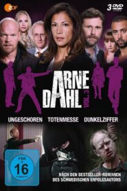 Arne Dahl – Mörkertal – 2015 – Online In Netflix