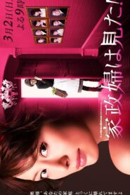 家政婦は見た！ – 2014 – Online In Netflix