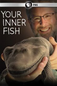 Your Inner Fish – 2014 – Online In Netflix