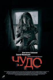 Чудо – 2009 – Online In Netflix
