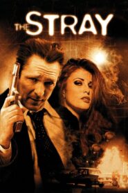 The Stray – 2000 – Online In Netflix
