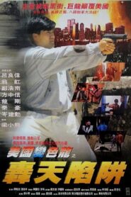 虎穴屠龍之轟天陷阱 – 1993 – Online In Netflix