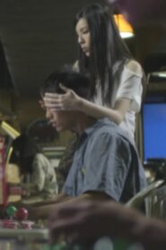 落踏 – 2013 – Online In Netflix
