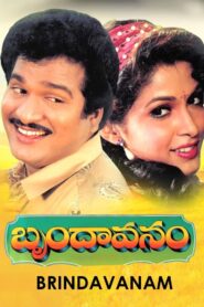 బృందావనం – 1992 – Online In Netflix