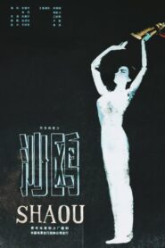 沙鸥 – 1981 – Online In Netflix