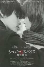 シュガー＆スパイス ～風味絶佳～ – 2006 – Online In Netflix