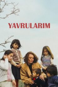Yavrularım – 1984 – Online In Netflix