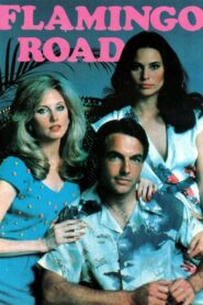 Flamingo Road – 1980 – Online In Netflix