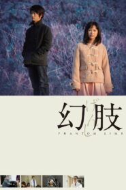 幻肢 – 2014 – Online In Netflix
