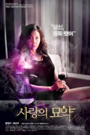 사랑의 묘약 – 2012 – Online In Netflix
