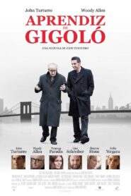 Aprendiz de gigolo – 2013 – Online In Netflix