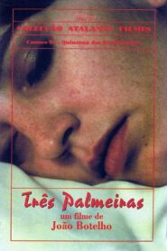 Três Palmeiras – 1994 – Online In Netflix