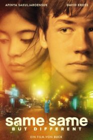 Lo mismo, pero diferente – 2009 – Online In Netflix