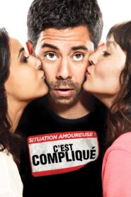 Situation amoureuse : c’est compliqué – 2014 – Online In Netflix