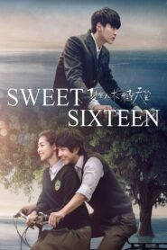 夏有乔木 雅望天堂 – 2016 – Online In Netflix