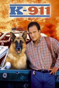 Superagente K-911 – 1999 – Online In Netflix