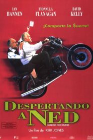 Waking Ned – 1998 – Online In Netflix