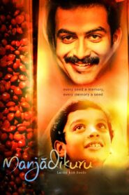 മഞ്ചാടിക്കുരു – 2008 – Online In Netflix