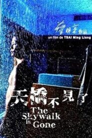 天橋不見了 – 2002 – Online In Netflix