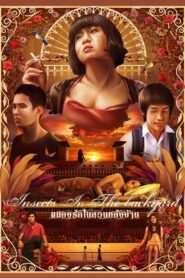 แมลงรักในสวนหลังบ้าน – 2011 – Online In Netflix