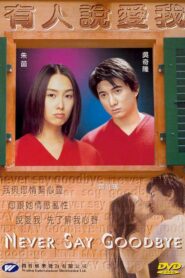 有人说爱我 – 2001 – Online In Netflix
