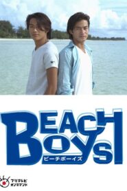 Beach Boys Special – 1998 – Online In Netflix