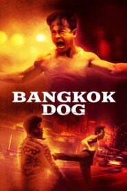 Bangkok Dog – 2024 – Online In Netflix