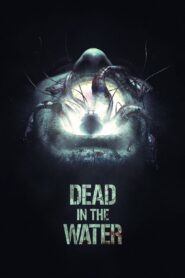 Muerte en el mar – 2018 – Online In Netflix