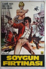 Asalto al Casino – 1981 – Online In Netflix