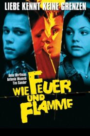 Wie Feuer und Flamme – 2001 – Online In Netflix