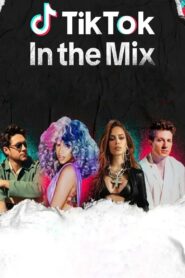 TikTok: In the Mix – 2023 – Online In Netflix
