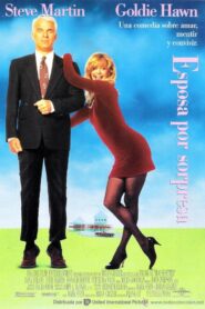 Tu Casa Es Mi Casa – 1992 – Online In Netflix