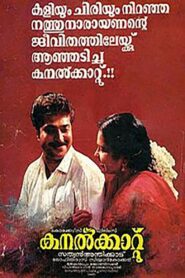 കനൽക്കാറ്റ് – 1991 – Online In Netflix