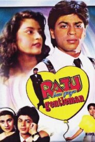राजू बन गया जेंटलमैन – 1992 – Online In Netflix