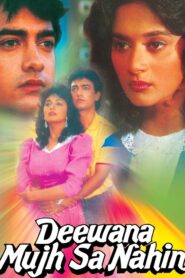 Deewana Mujh Sa Nahin – 1990 – Online In Netflix