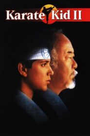 Karate Kid II: La Historia Continúa – 1986 – Online In Netflix