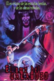 The Dungeonmaster – 1984 – Online In Netflix