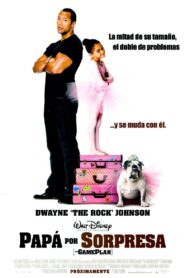 Entrenando a Papá – 2007 – Online In Netflix