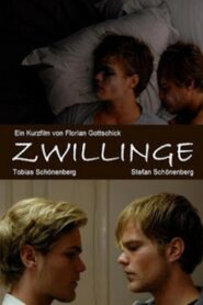 Zwillinge – 2010 – Online In Netflix
