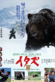 イタズ　－熊－ – 1987 – Online In Netflix