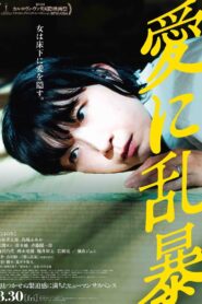 愛に乱暴 – 2024 – Online In Netflix