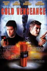 Sometimes a Hero – 2003 – Online In Netflix