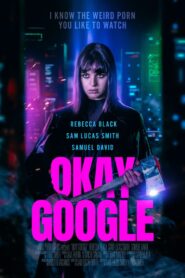 Okay Google – 2020 – Online In Netflix