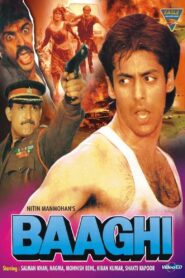 Baaghi: A Rebel for Love – 1990 – Online In Netflix