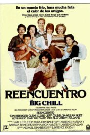 The Big Chill – 1983 – Online In Netflix