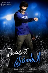 ఎందుకంటే ప్రేమంతా – 2012 – Online In Netflix