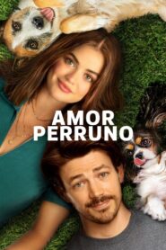 Amor De Cachorros – 2023 – Online In Netflix