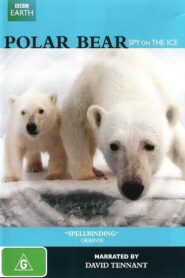 Polar Bear – Spy on the Ice – 2011 – Online In Netflix